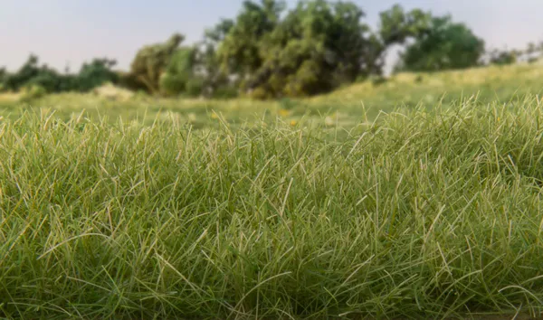 Hovedbilde Woodland - Field System, static grass, Med Green 7mm