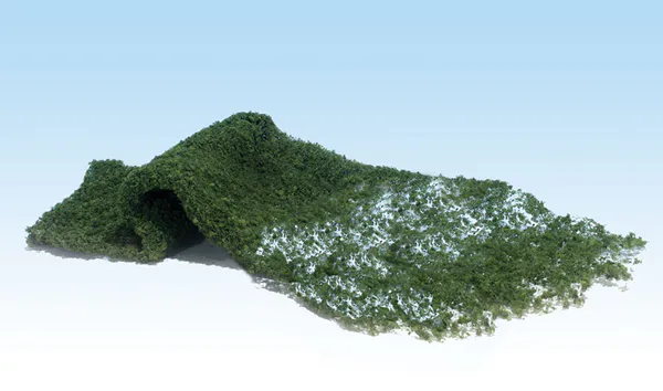 Hovedbilde Woodland - Foliage, medium green