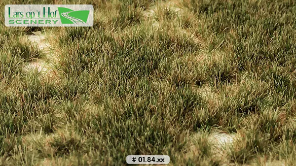 Hovedbilde Lars op 't Hof - Grass tufts early winter - long