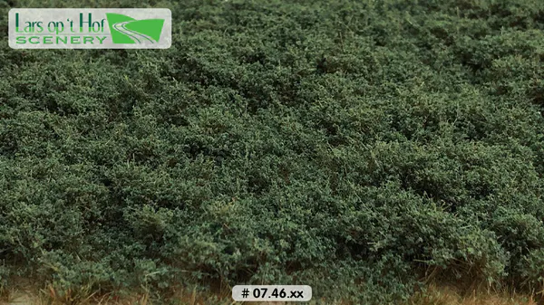Hovedbilde Lars op 't Hof - Bushes hazy green - low