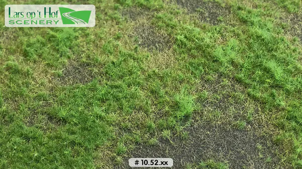 Hovedbilde Lars op 't Hof - Pasture with soil spring - short