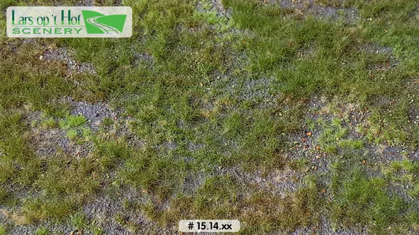 Hovedbilde Lars op 't Hof - Forest floor - type 1, medium