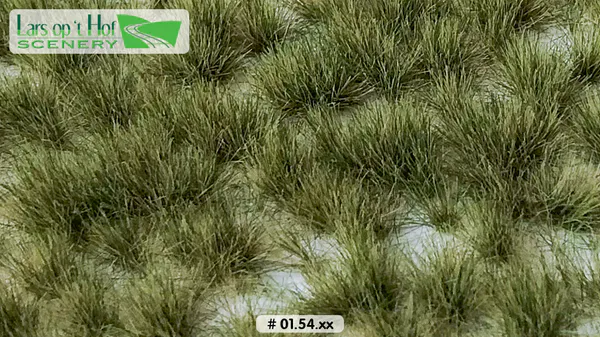 Hovedbilde Lars op 't Hof - Grass tufts early autumn - long