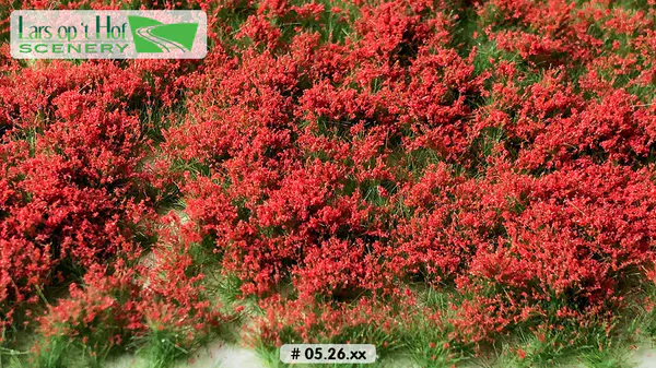 Hovedbilde Lars op 't Hof - Flower tufts red