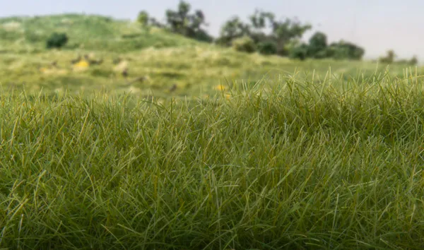 Hovedbilde Woodland - Field System, static grass, Dark Green 2mm