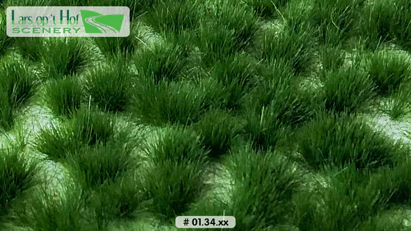 Hovedbilde Lars op 't Hof - Grass tufts early summer - long
