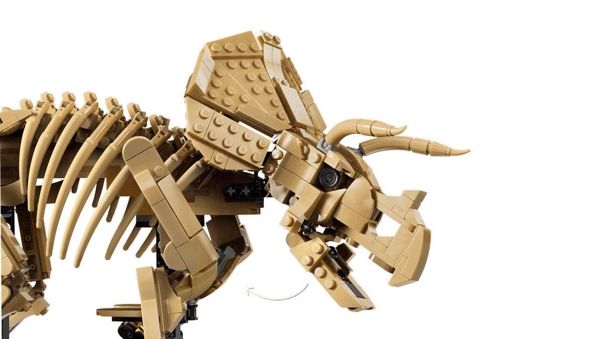 LEGO 77985 - Jurassic World™, Dinosaurfossiler: Triceratops